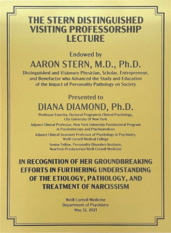 The Stern Distinguished Visiting Professor Lecture, Weill Cornell Medicine, Department of Psychiatry